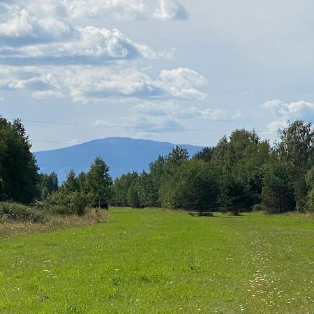 Goralskie Domki U Topora Czarny Dunajec Esterno foto